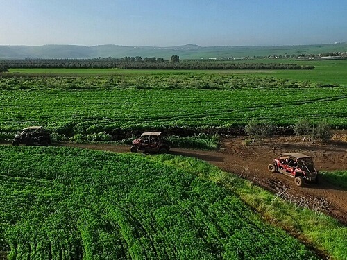 תמונה של טיולי רייזרים