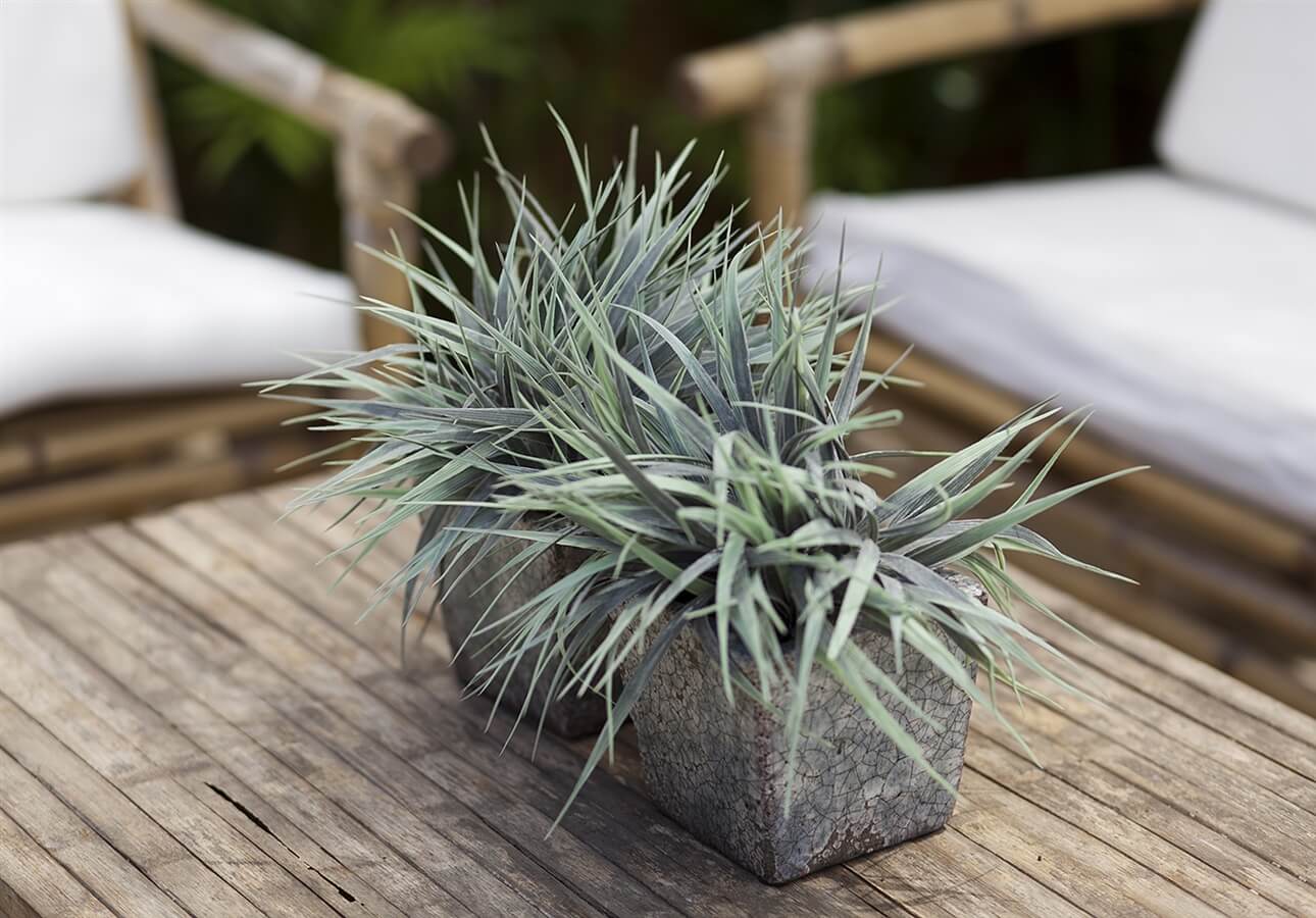 תמונה של הסוויטות - 5