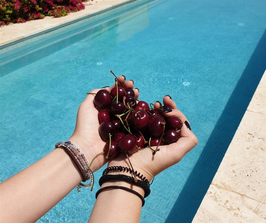 תמונה של הסוויטה - 6