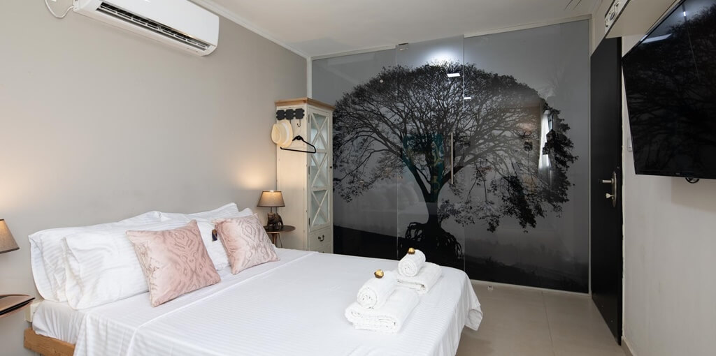 תמונה של הסטודיו - 6