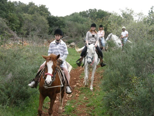 תמונה של רכיבה על סוסים