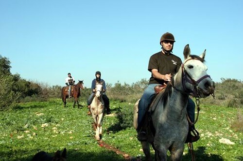 תמונה של רכיבה על סוסים
