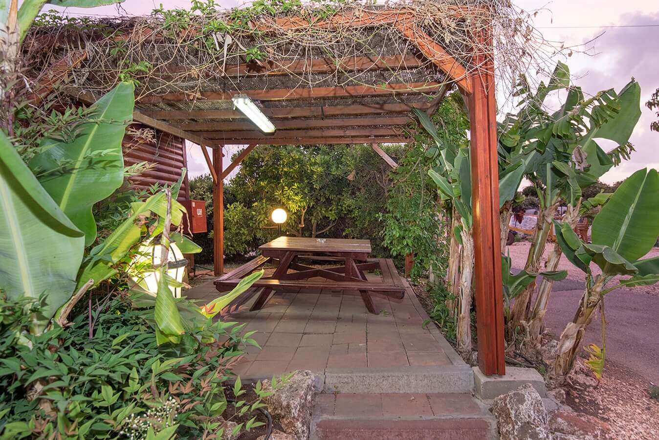 תמונה של בקתות עץ מפוארות - 12