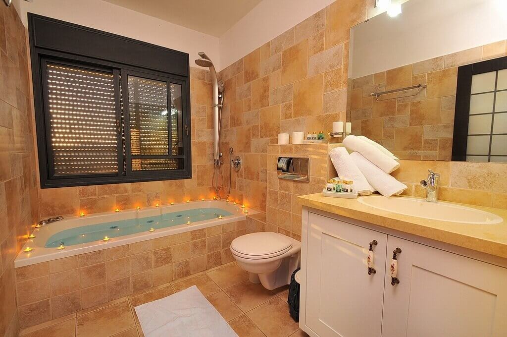 תמונה של לואי ה-16 - 9