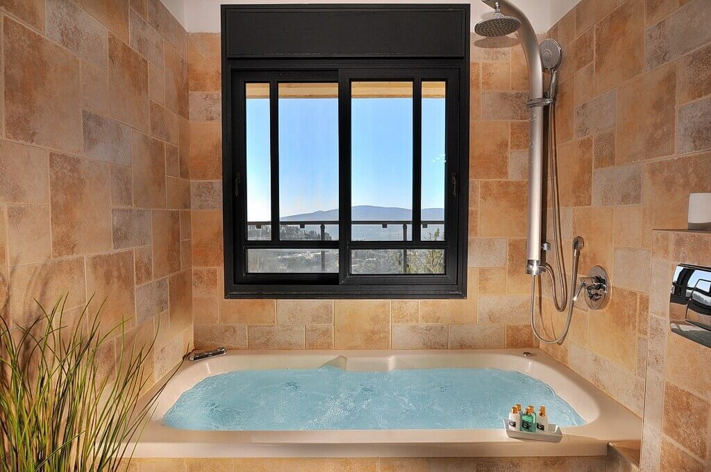 תמונה של לואי ה-18 - 9