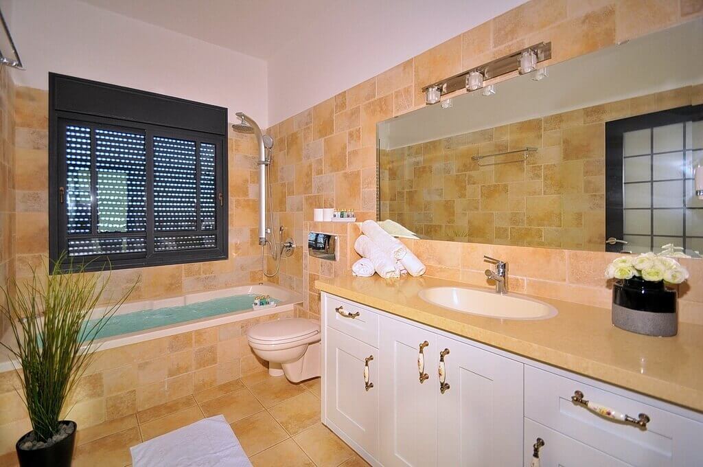 תמונה של לואי ה-18 - 10