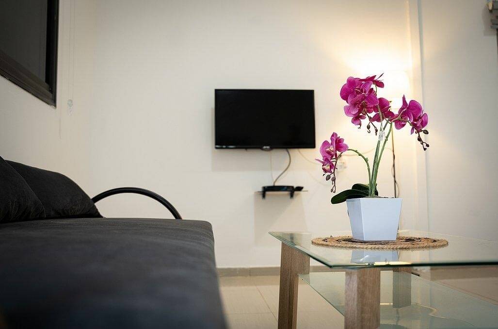 תמונה של סוויטות זוגיות - 15