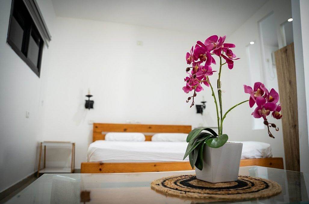 תמונה של סוויטות משפחתיות - 7