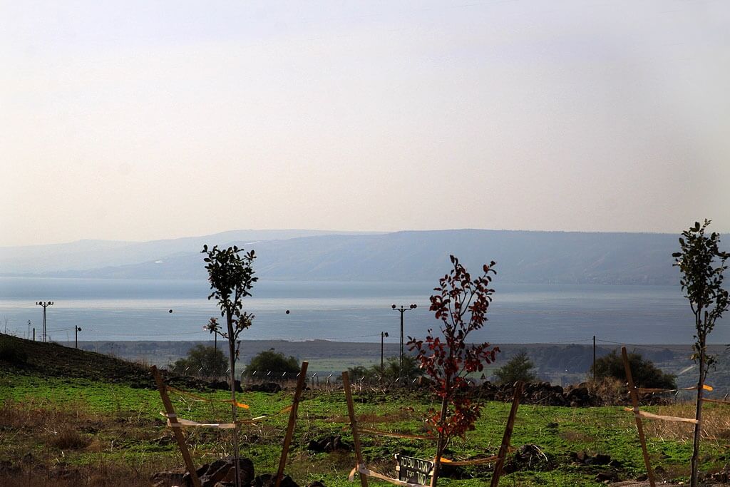 תמונה של יחידות נוף - 10 תמונה של יחידות נוף - 10