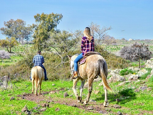 תמונה של רכיבה על סוסים
