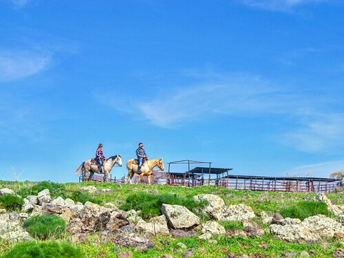 תמונה של רכיבה על סוסים