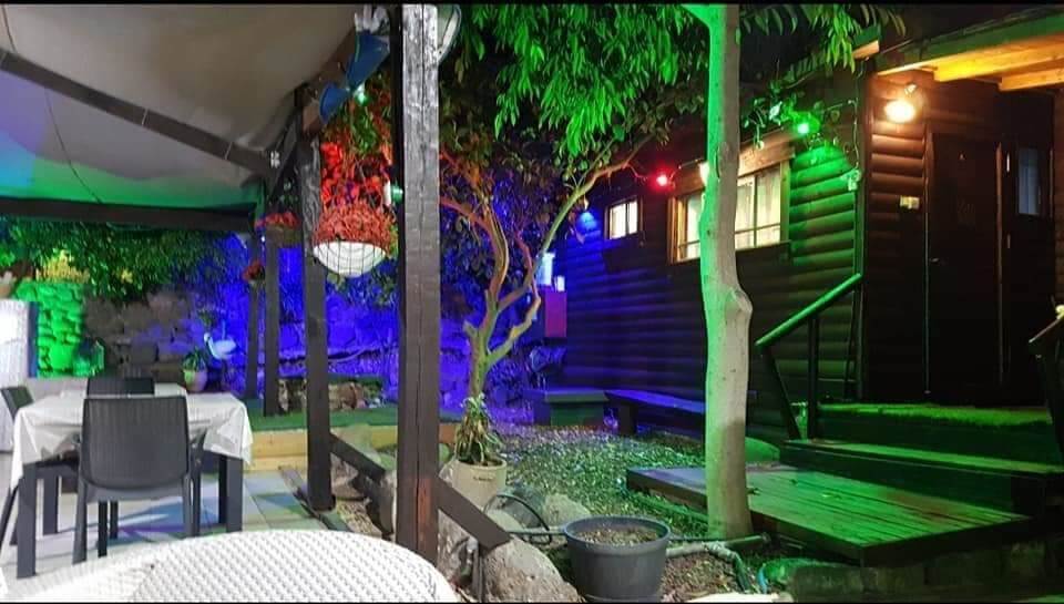 תמונה של בקתת עץ - 2