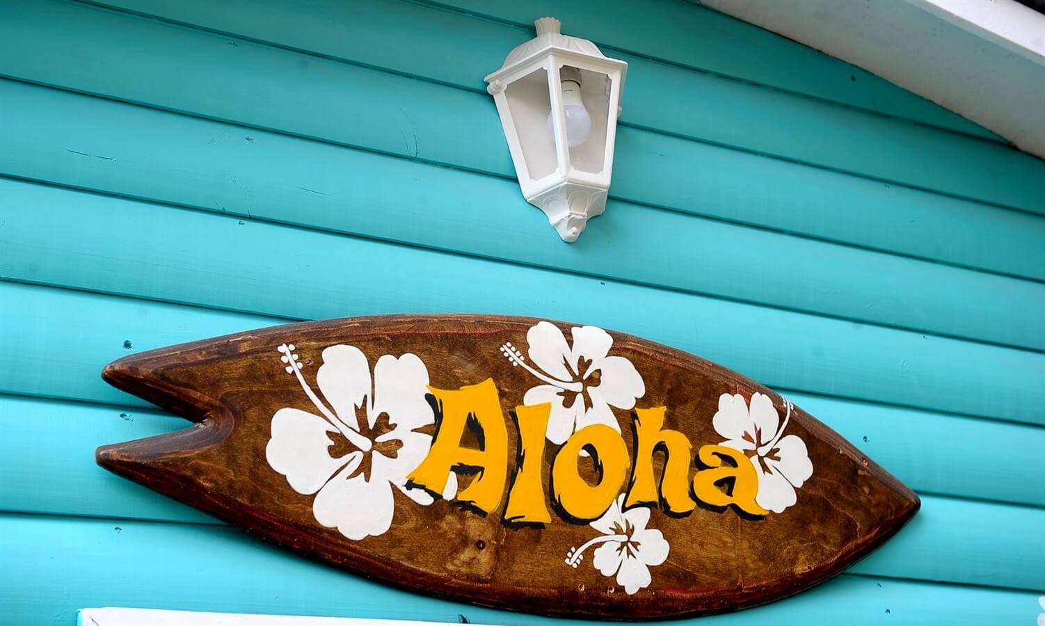 תמונה של בקתת גולשים - 4 תמונה של בקתת גולשים - 4