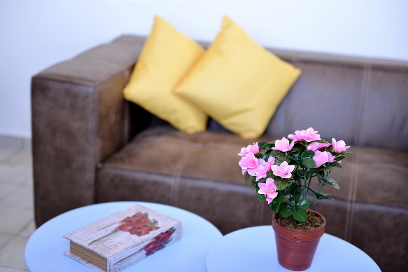 תמונה של צימר נועה - 10 תמונה של צימר נועה - 10