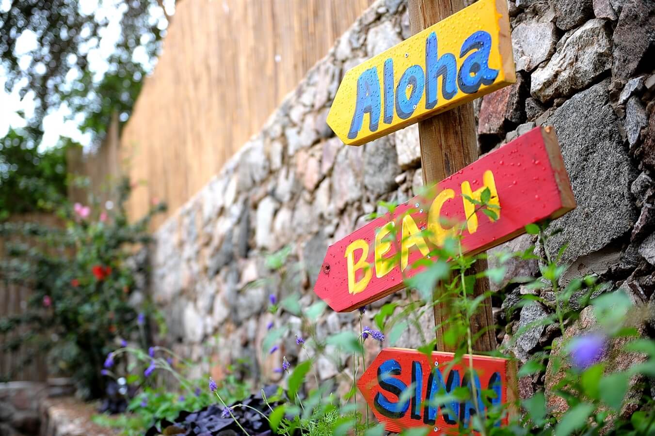 תמונה של בקתת גולשים - 1 תמונה של בקתת גולשים - 1