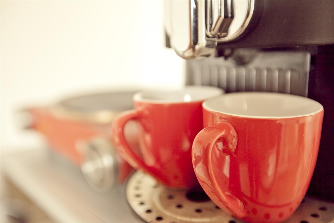 תמונה של הצימר - 7