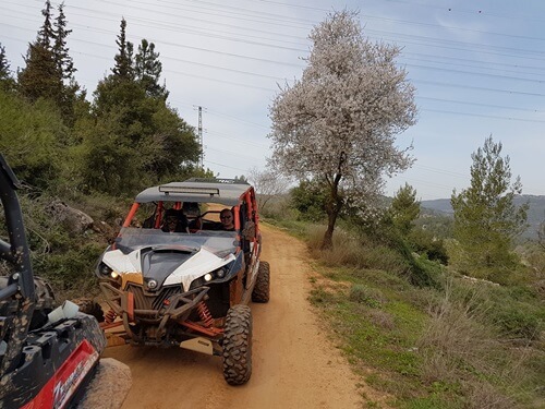 תמונה של טיולי רייזרים תמונה של טיולי רייזרים
