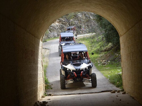 תמונה של טיולי רייזרים תמונה של טיולי רייזרים