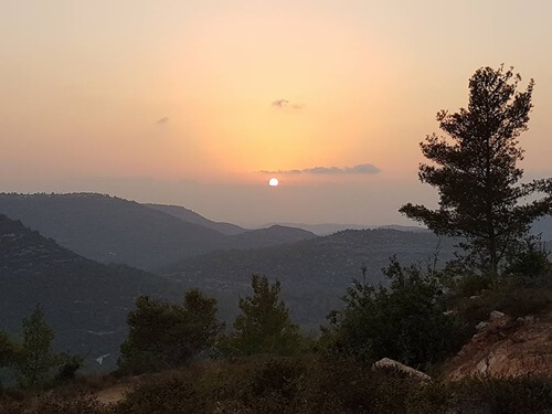 תמונה שצולמה בטופ רייזר - 5 תמונה של טופ רייזר - 5