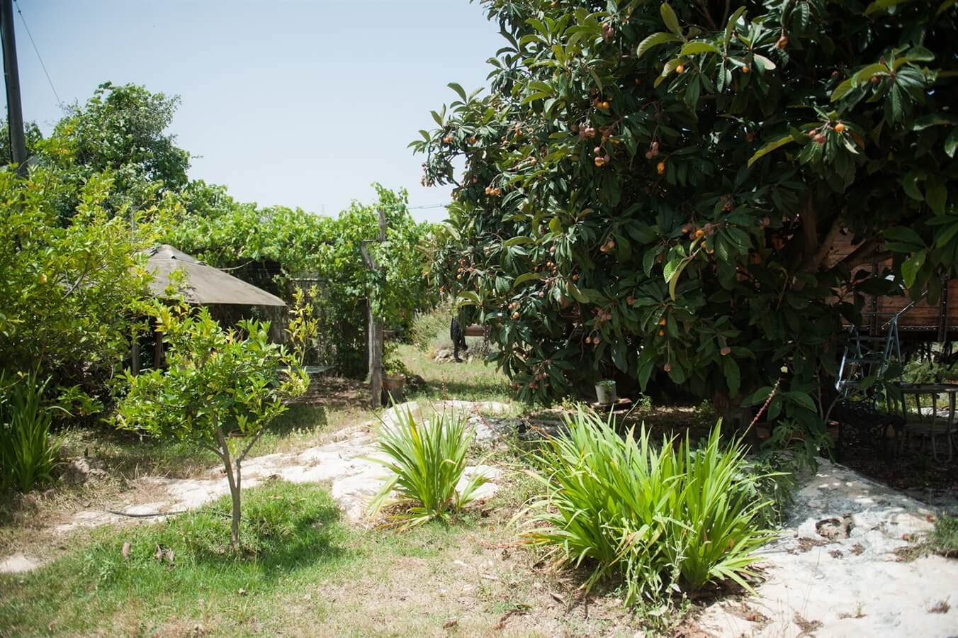 תמונה של החאן הלבן - 9