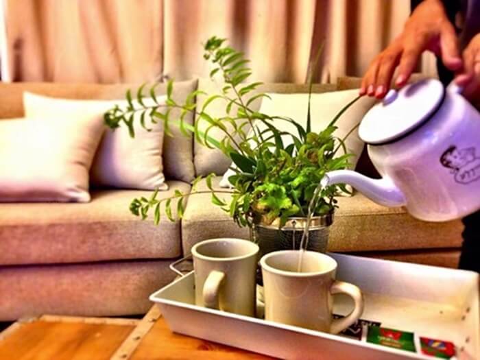 תמונה של הסוויטה - 3