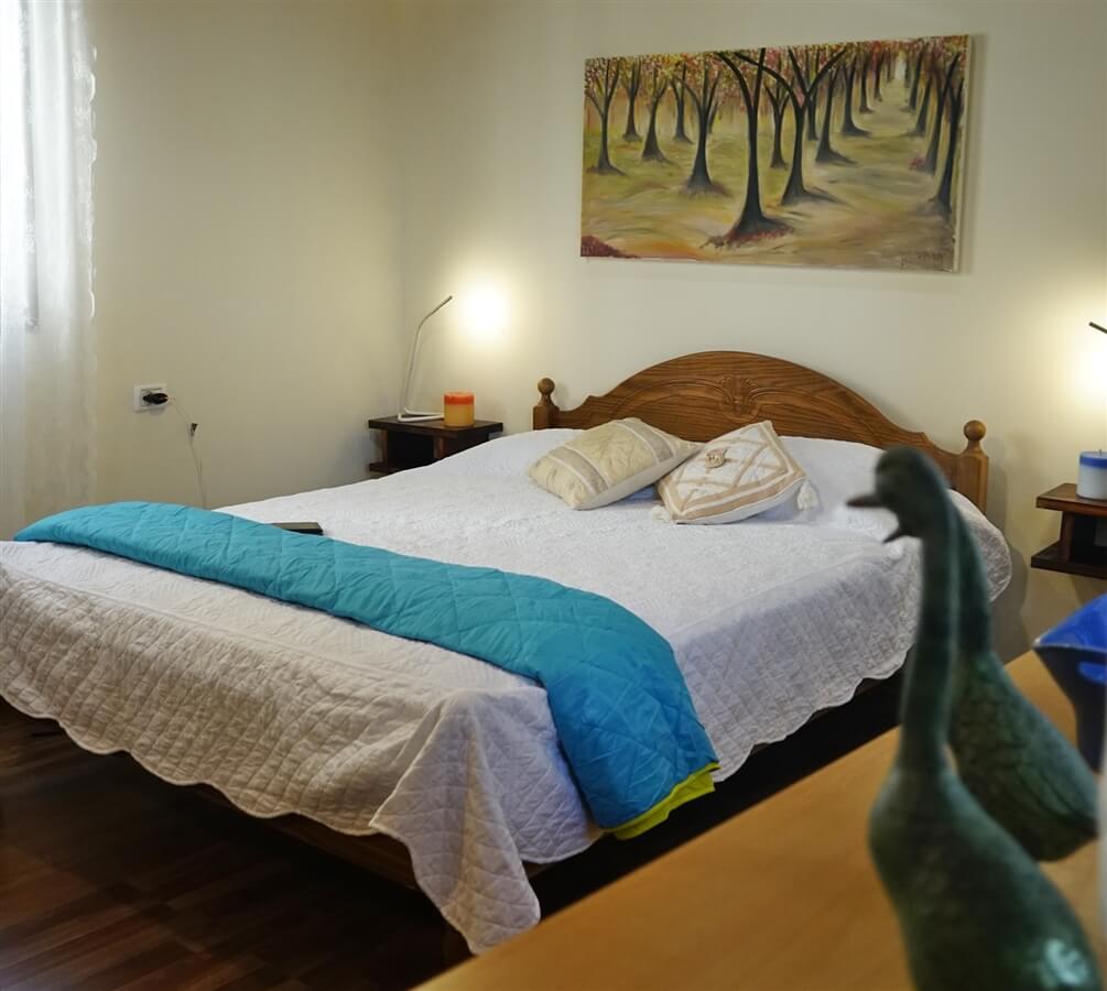 תמונה של הצימר - 8