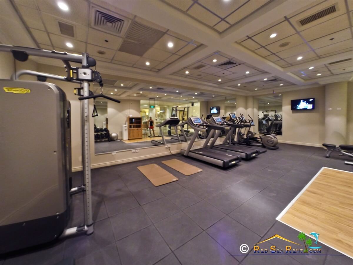 תמונה של מלכת שבא - 8