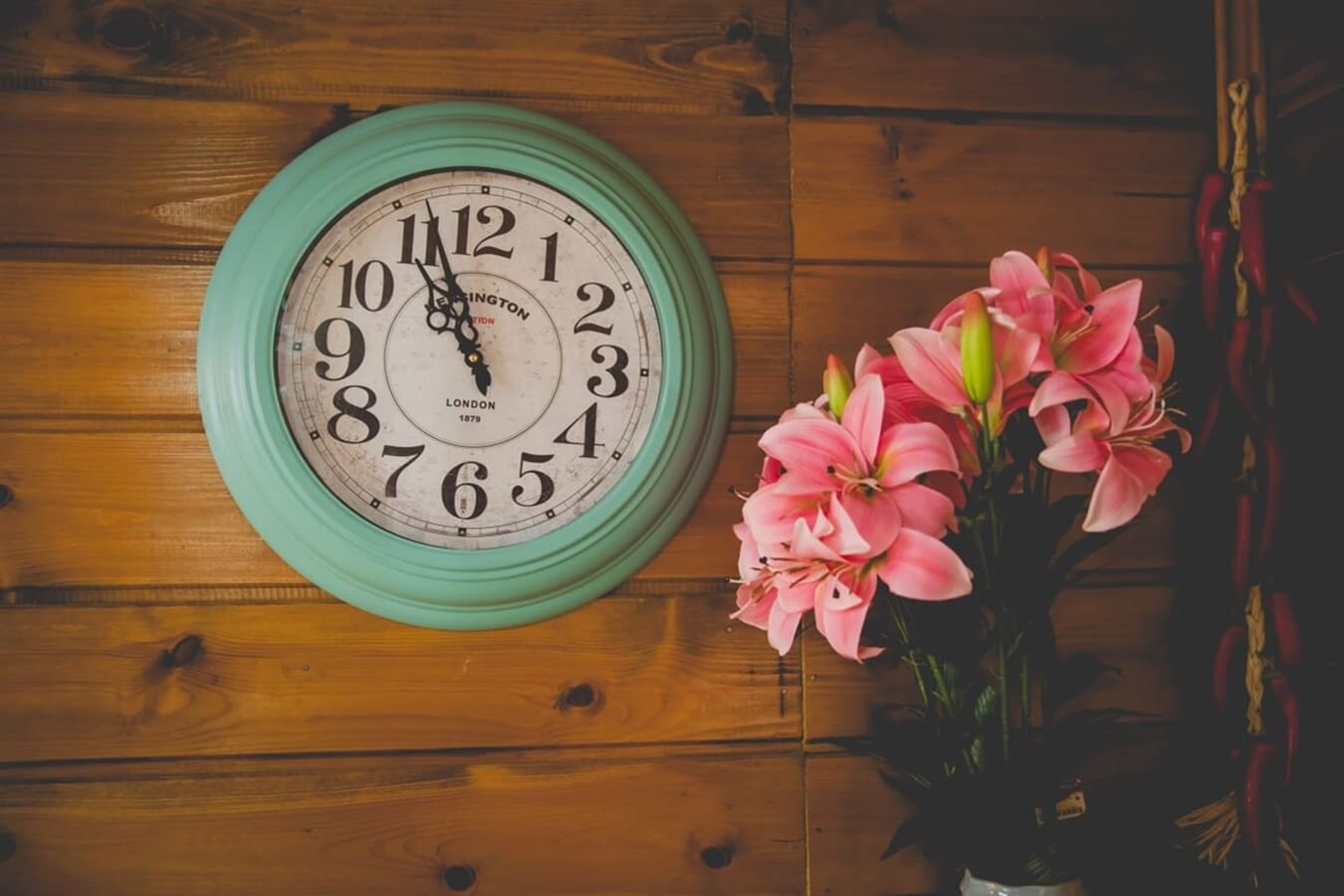 תמונה של בקתת העץ - 3