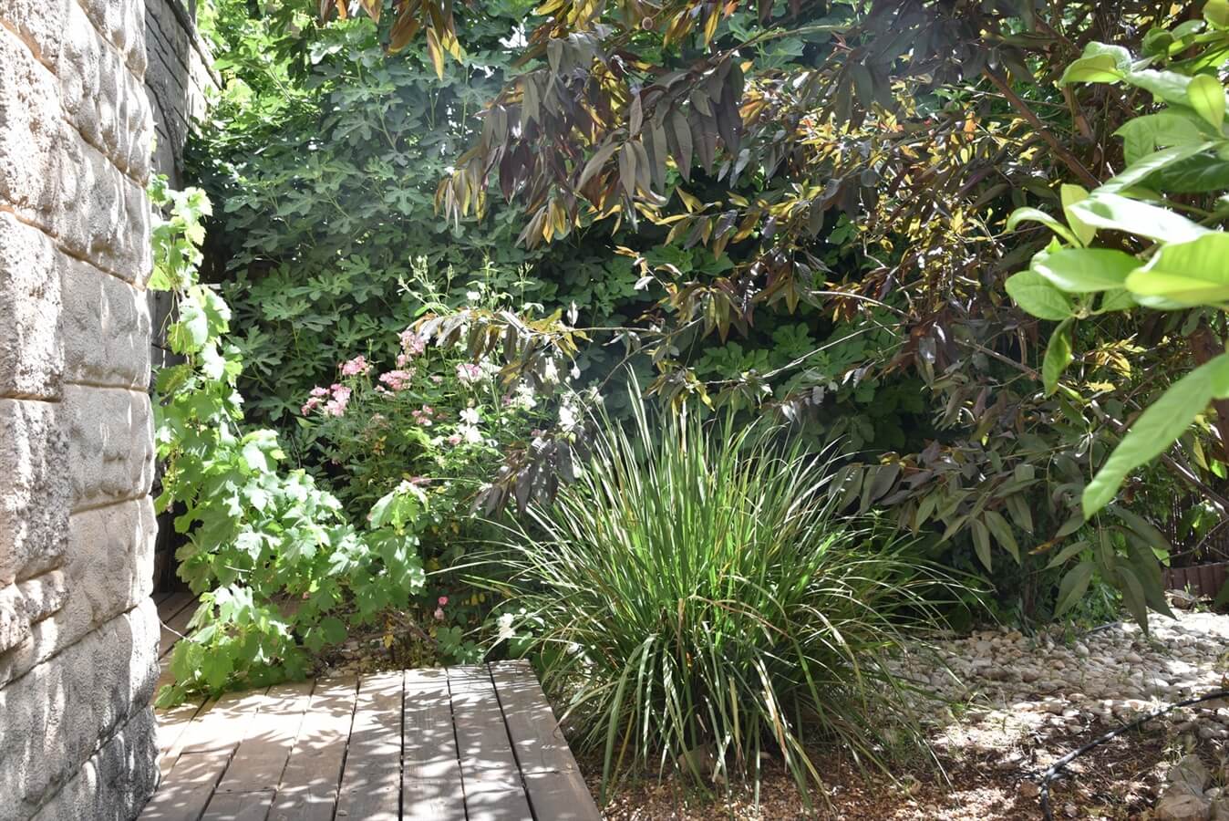 תמונה של הסוויטה המשפחתית - 5 תמונה של הסוויטה המשפחתית - 5