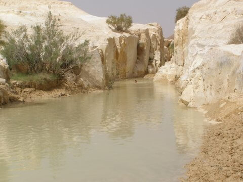 תמונה של טיולי ג'יפים