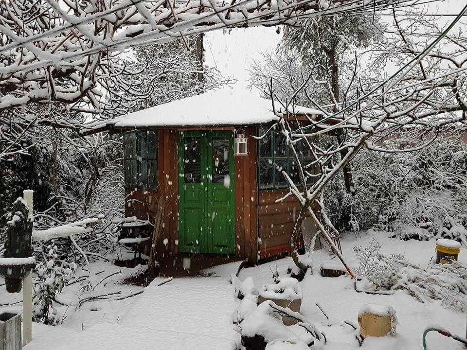 תמונה של סוויטת אגוז המלך - 5