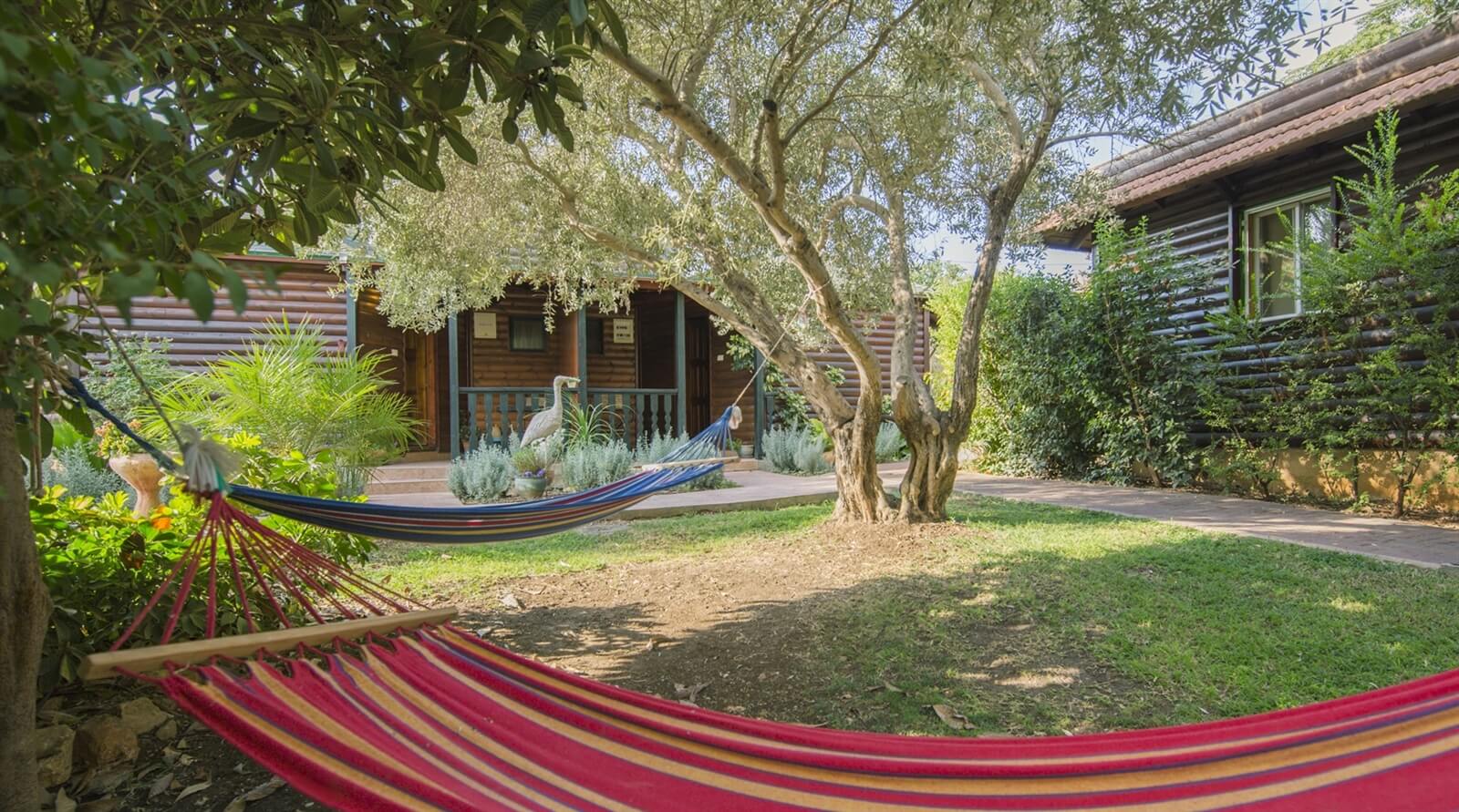 תמונה של בקתות משפחתיות - 5