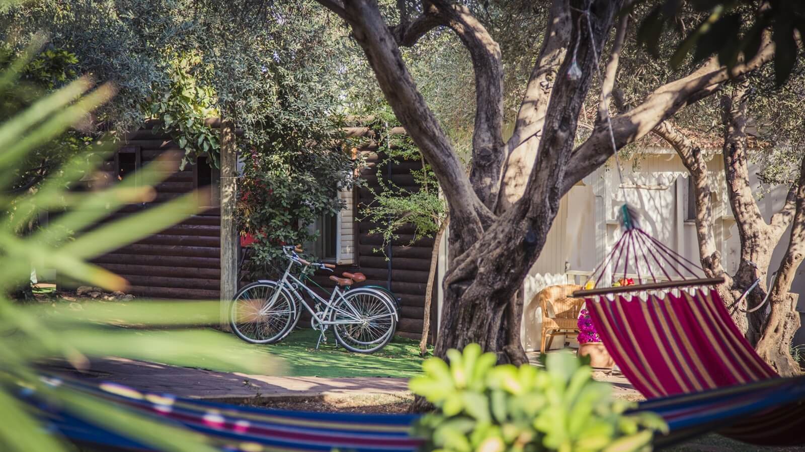 תמונה של בקתות משפחתיות - 6