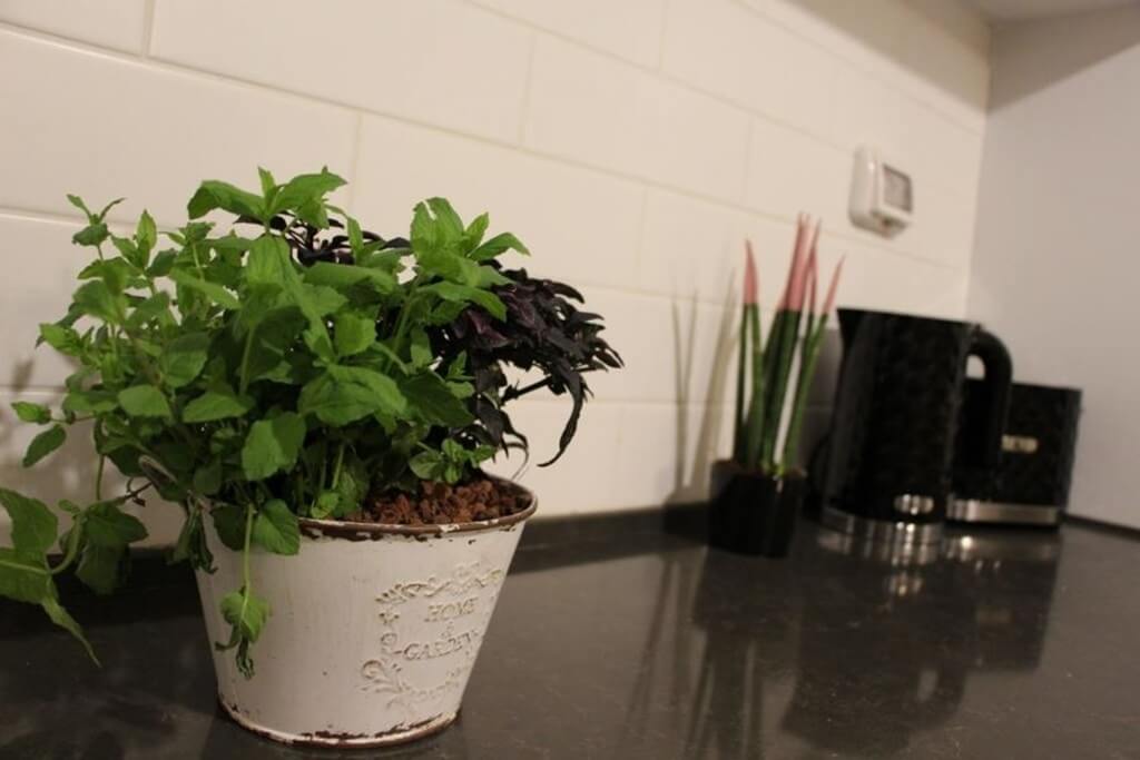 תמונה של יחידת האירוח - 6