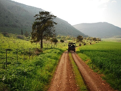 תמונה של טיולי שטח ברכבי רייזר
