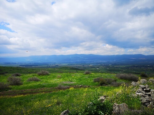 תמונה של טיולים בהתאמה אישית