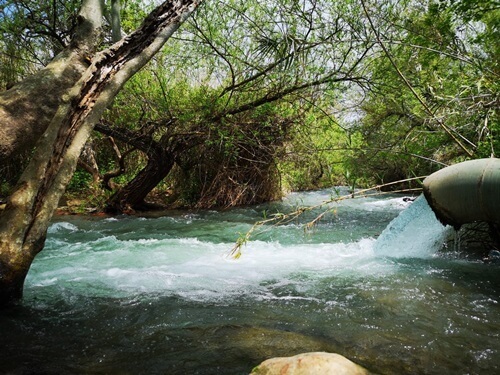 תמונה של טיולים בהתאמה אישית