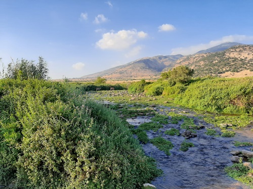 תמונה של המסלולים הקצרים