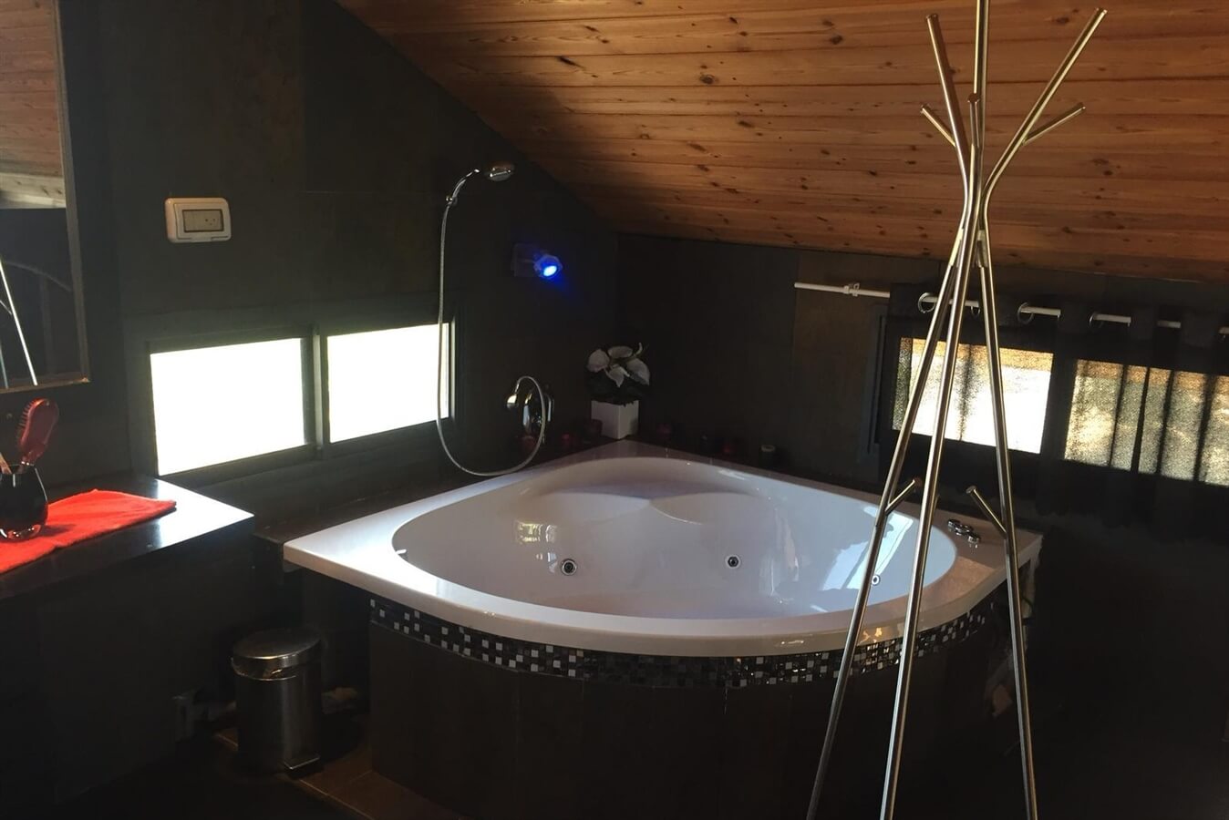 תמונה של סוויטה - 3