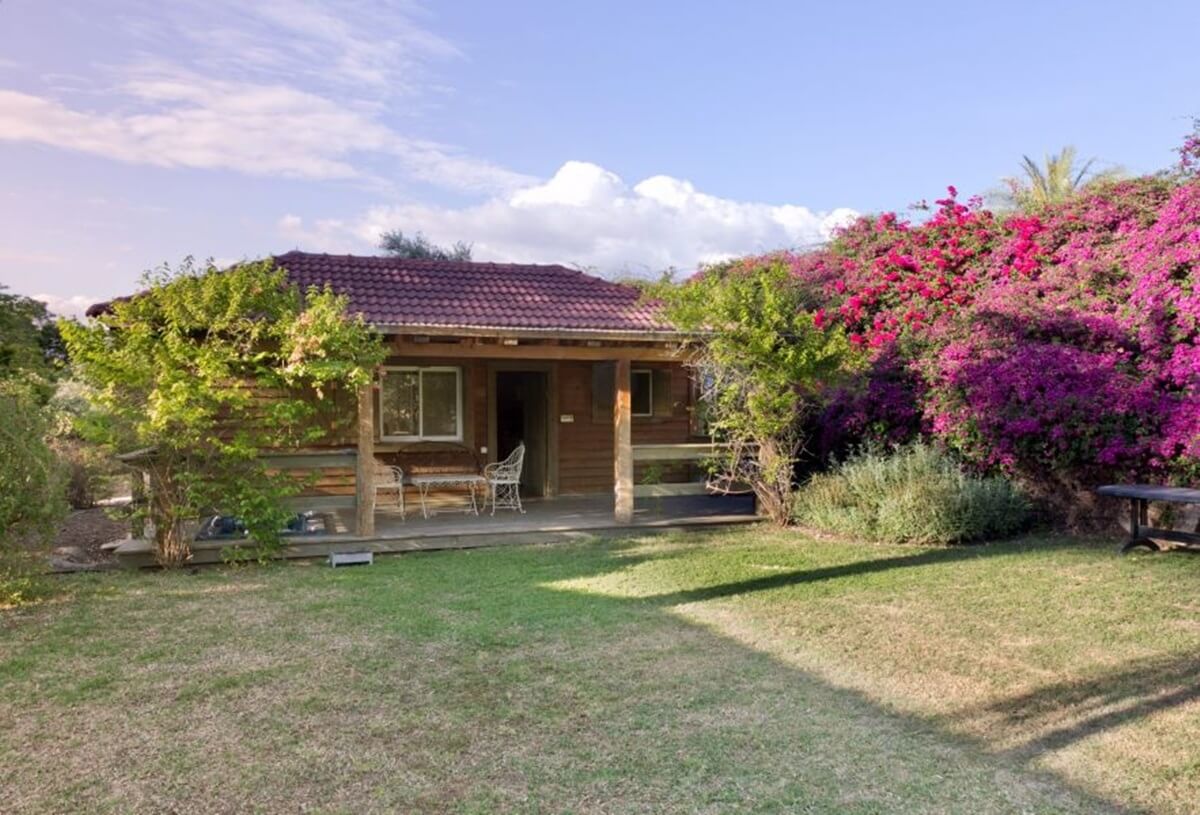 תמונה של בקתת העץ - 5