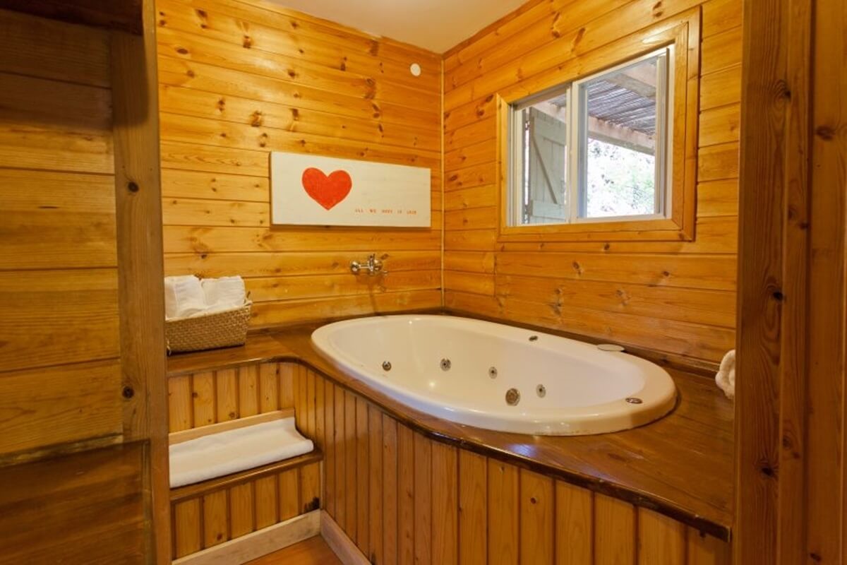 תמונה של בקתת העץ - 2