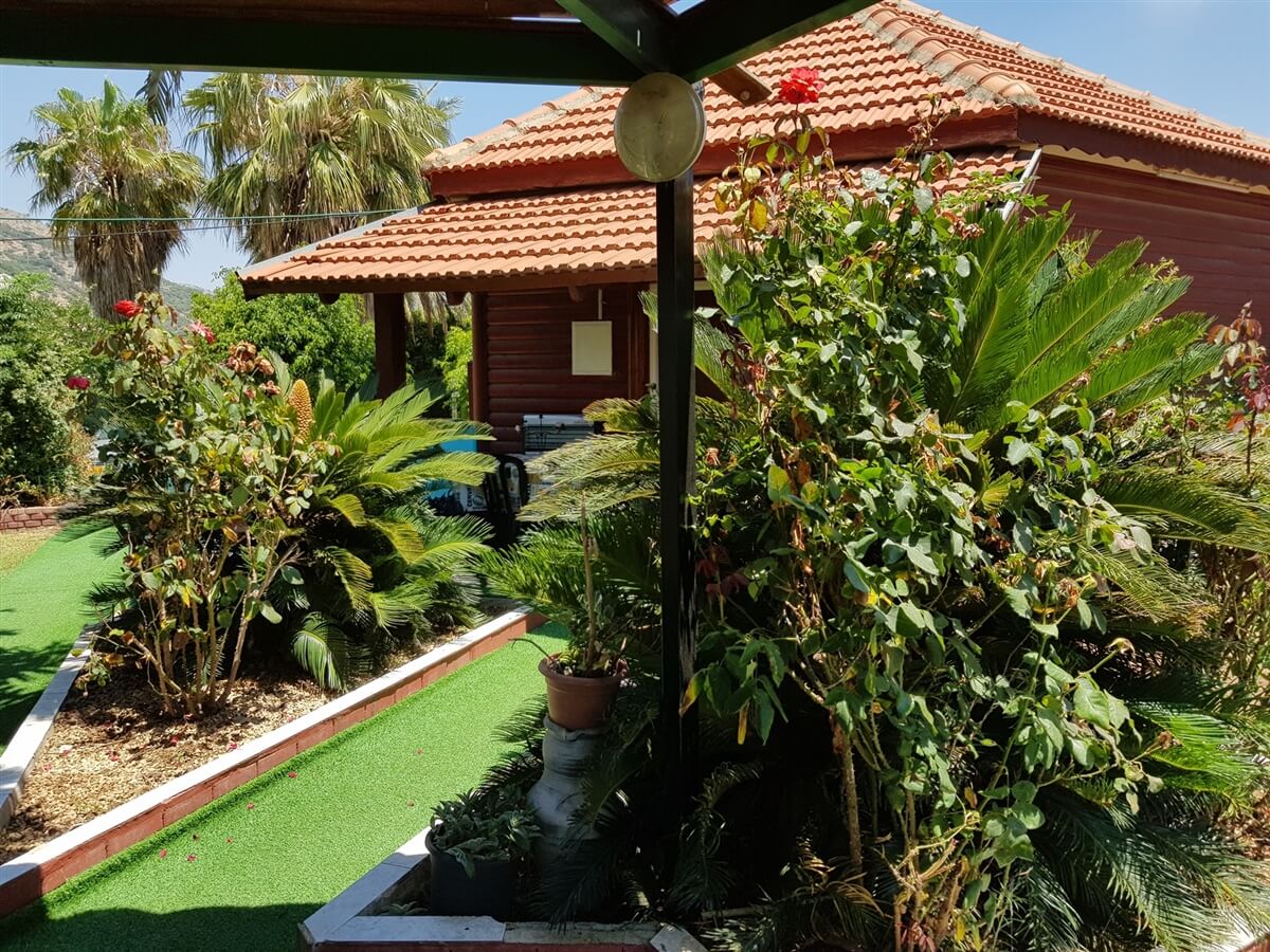 תמונה של אילעאי - 9