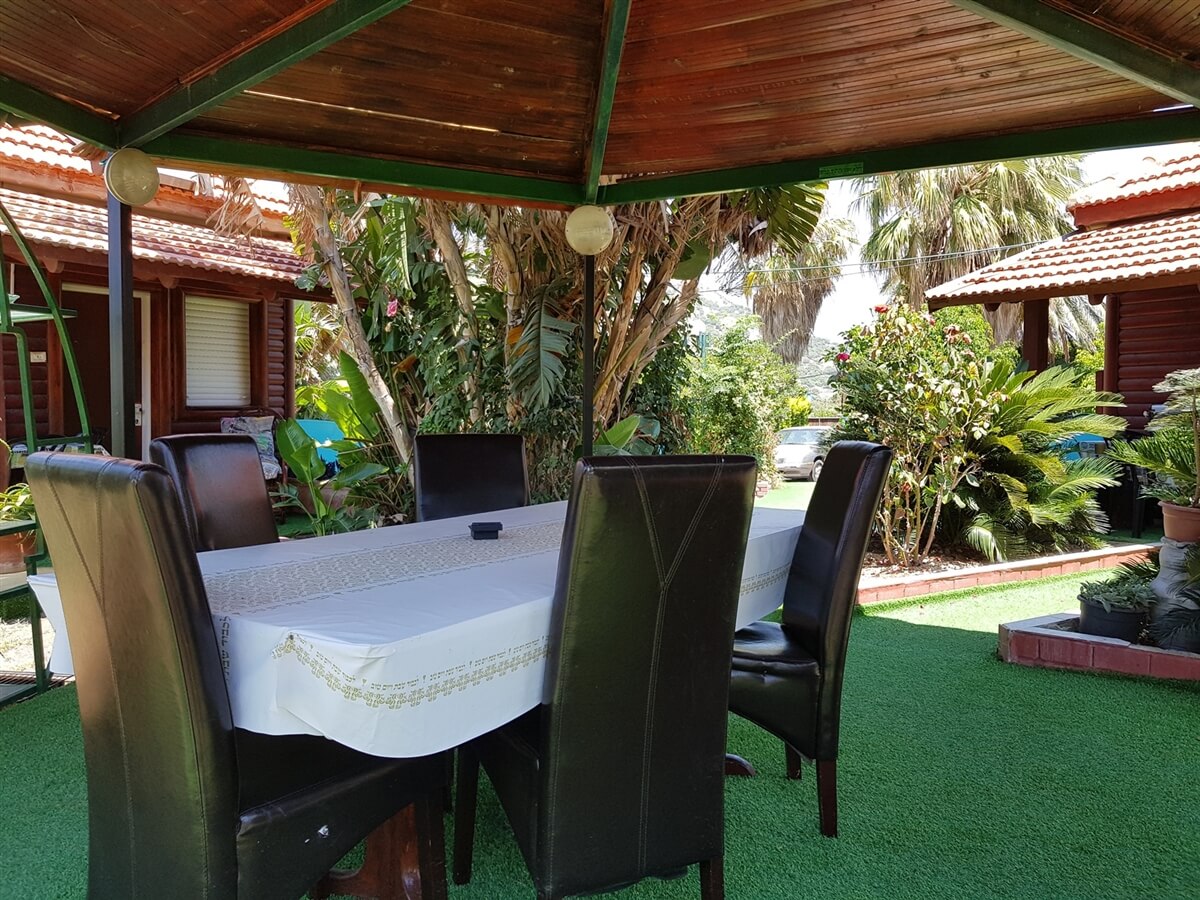 תמונה של אילעאי - 10