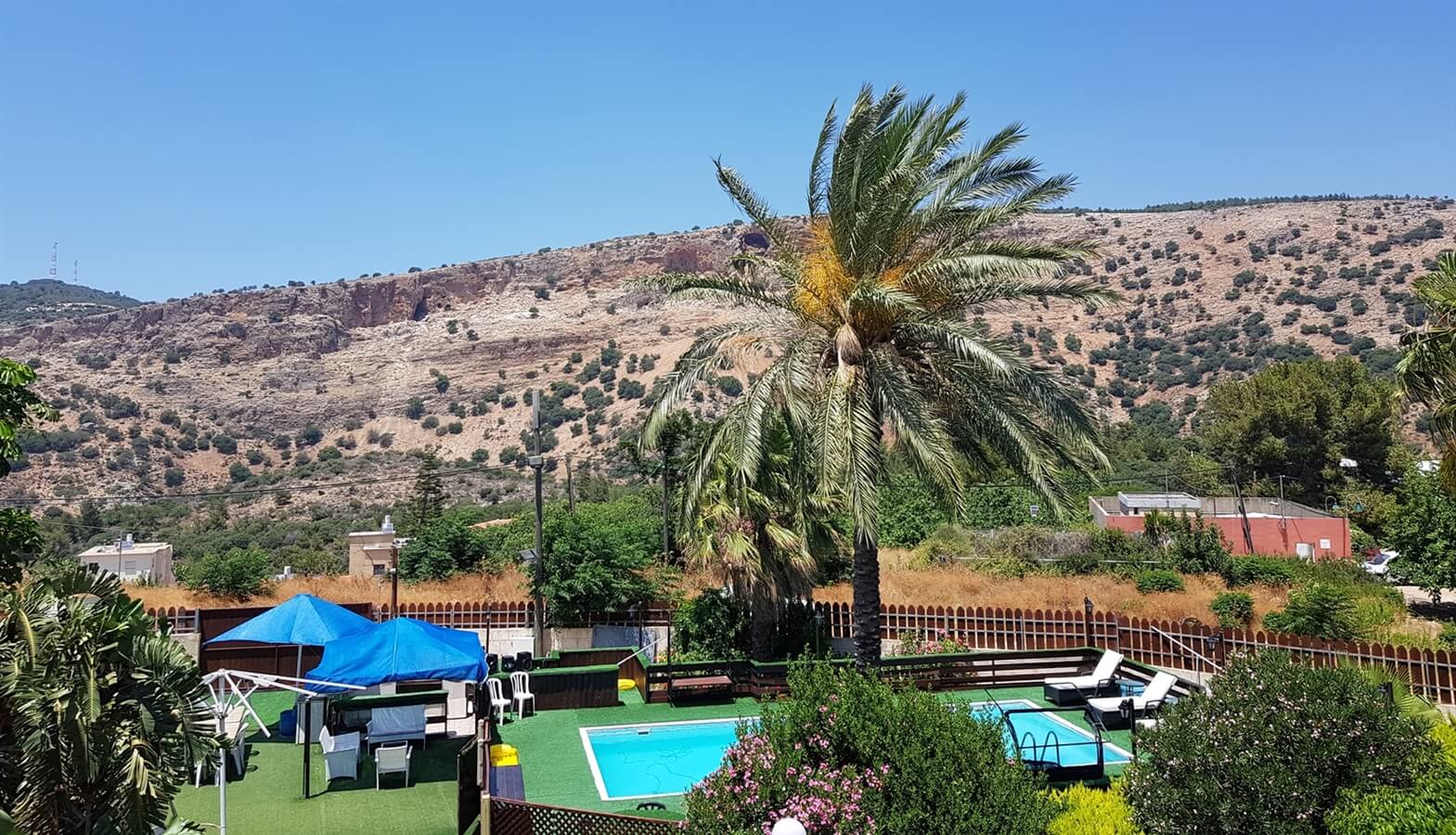 תמונה של פעמוני חן - 10