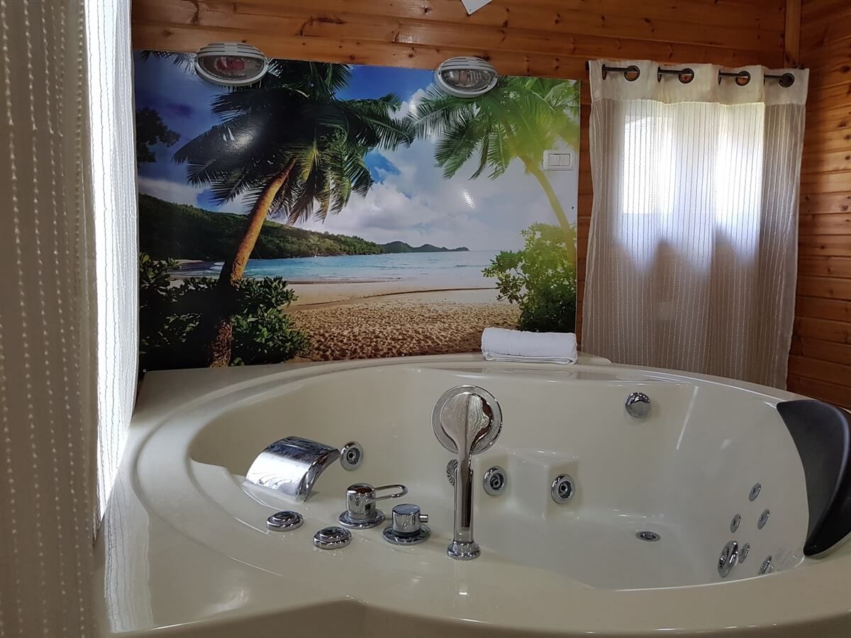 תמונה של פעמוני חן - 6