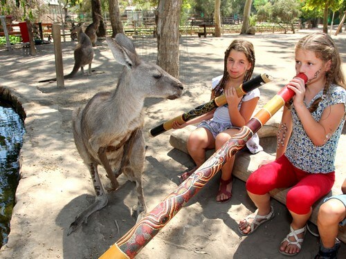 תמונה שצולמה בגן גורו ניר דוד - 2 תמונה של גן גורו ניר דוד - 2