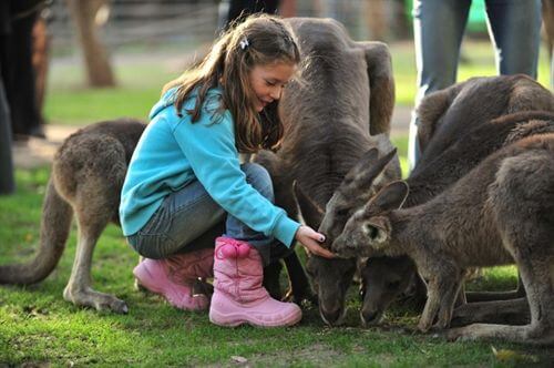 תמונה שצולמה בגן גורו ניר דוד - 1 תמונה של גן גורו ניר דוד - 1