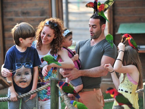 תמונה שצולמה בגן גורו ניר דוד - 5 תמונה של גן גורו ניר דוד - 5