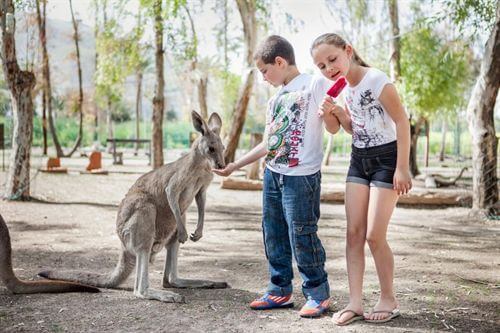 תמונה שצולמה בגן גורו ניר דוד - 3 תמונה של גן גורו ניר דוד - 3