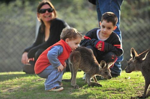 תמונה שצולמה בגן גורו ניר דוד - 4 תמונה של גן גורו ניר דוד - 4